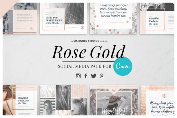 Download Canva &amp; PPT | Rose Gold Social Media - Social Collection