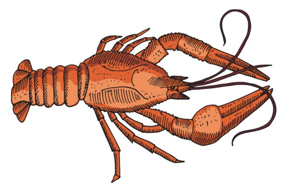 Download Red Lobster Drawing. Seafood Restaurant - Restaurant Collection